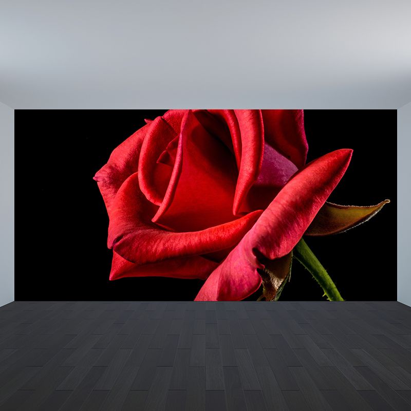 Soft Color Rose Flower Wall Mural Stain Resistant Wall Art for Living Room
