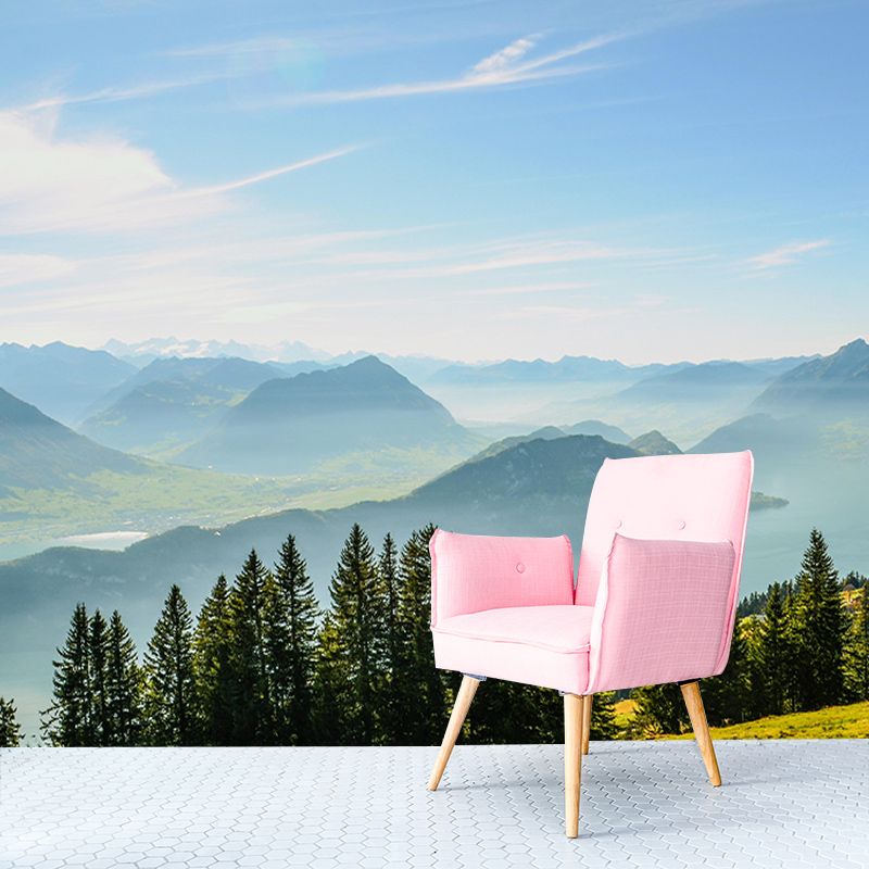 Photography Wall Mural Mountain Decorative Stain Resistant Home Mural