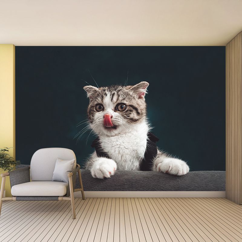 Animal Cat Mural Wallpaper Contemporary Moisture Resistant Wall Covering
