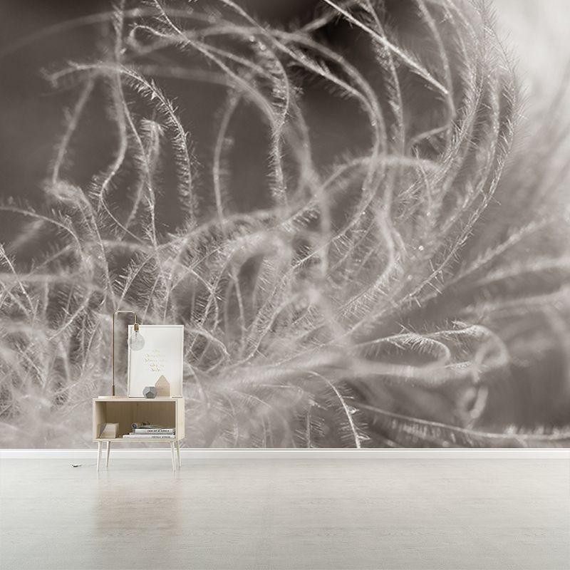 Washable Illustration Mural Wallpaper Feather Indoor Wall Mural