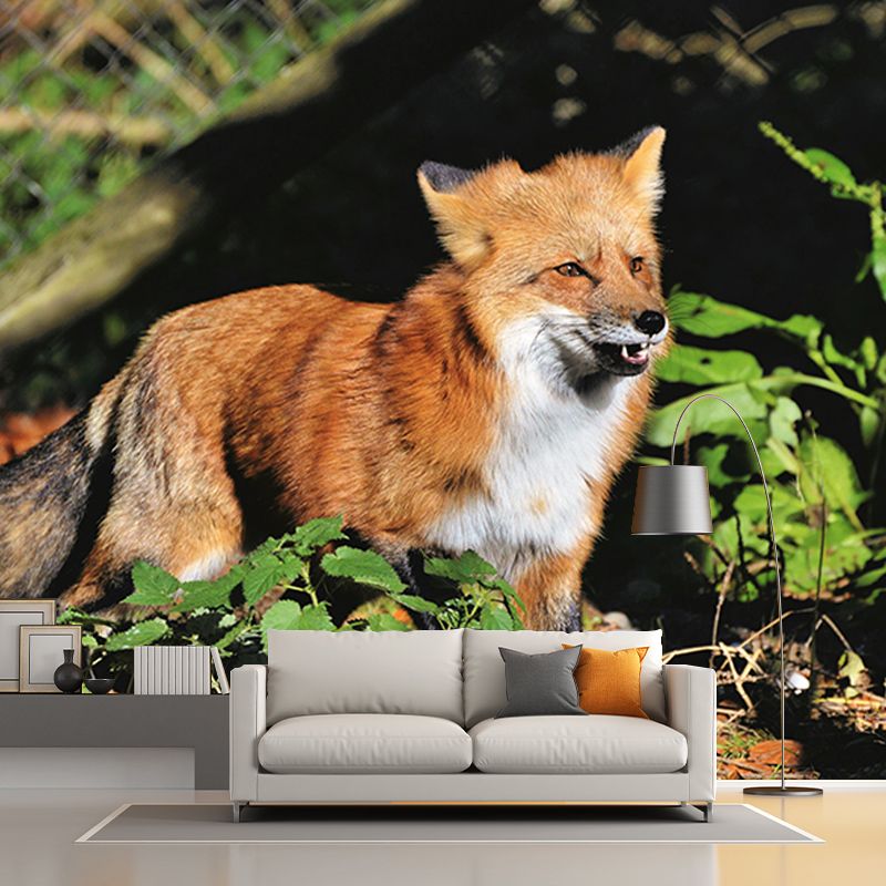 Customized Red Fox Wall Mural Horizontal Photography for Sleeping Room Decoration
