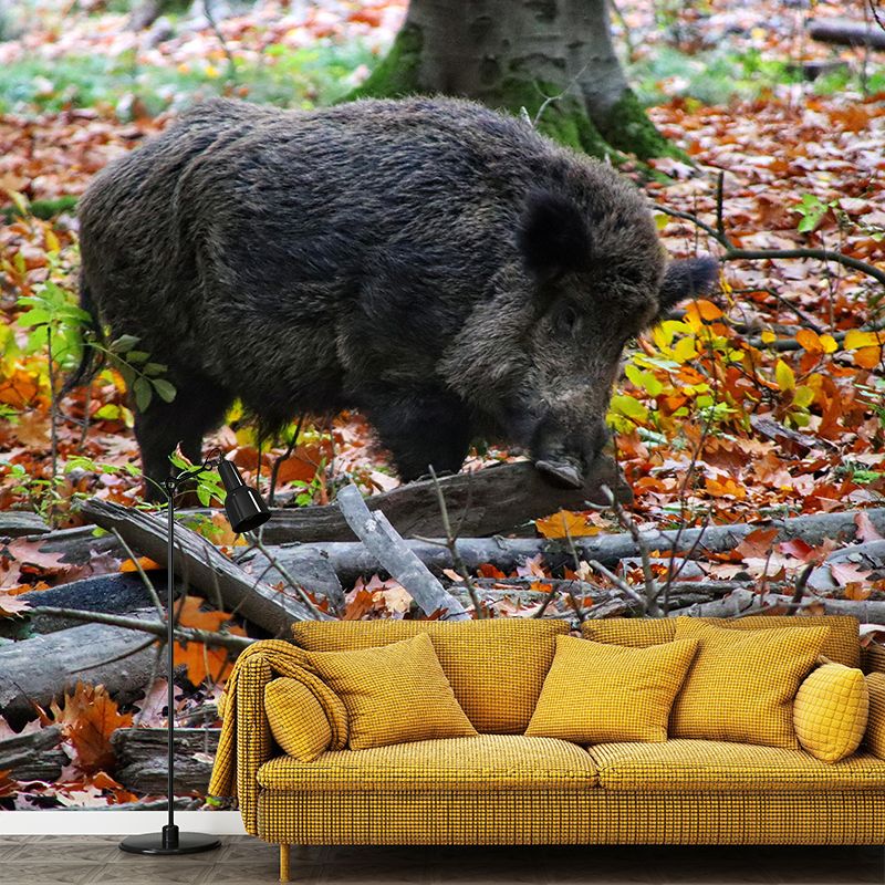 Photography Wild-Boar Mural Wall Decor Mildew Resistant Living Room Wall Mural for Decoration