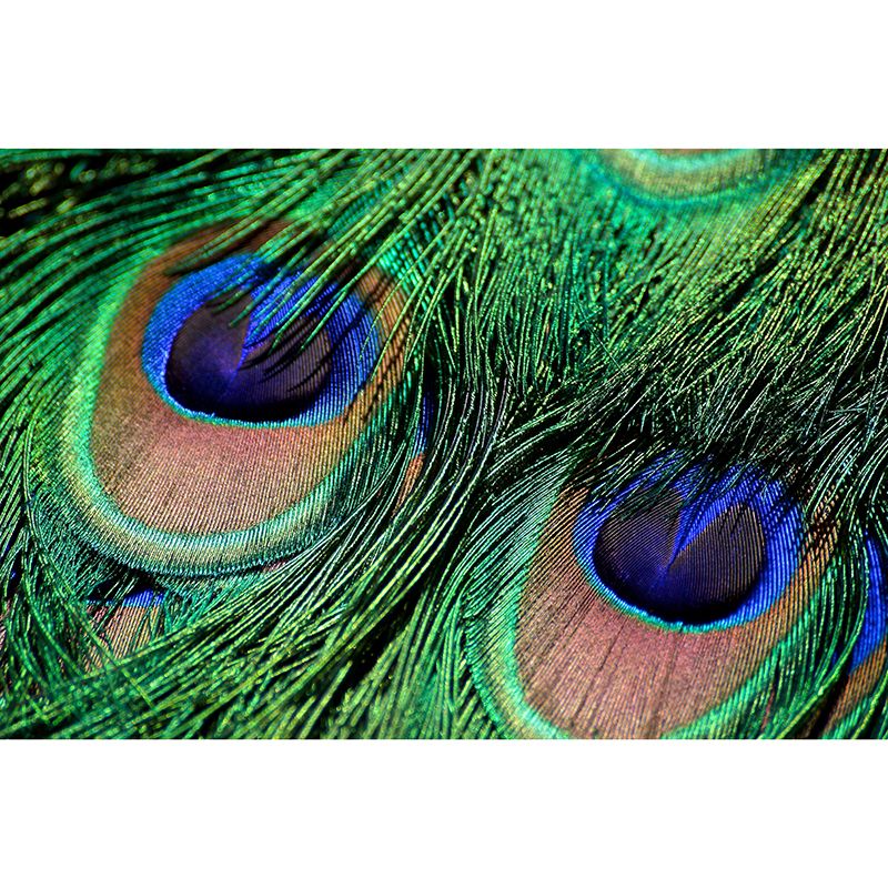 Fashionable Wall Mural Peacock Feather Print Drawing Room Wall Mural