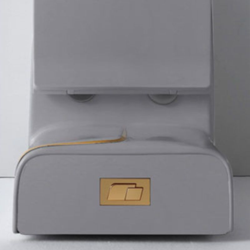 Traditional Floor Mounted Toilet Siphon Jet One-Piece Flush Toilet with Slow Close Seat