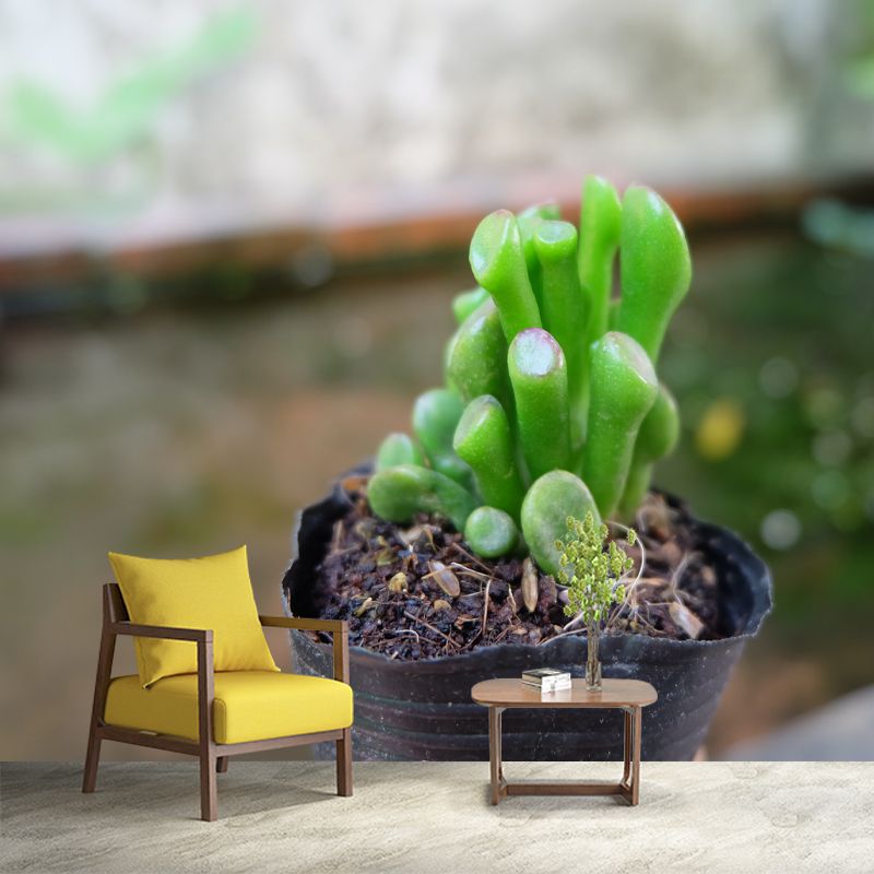 Anthurium Plant Wall Murals Contemporary Wall Art for Bedroom, Moisture Resistant