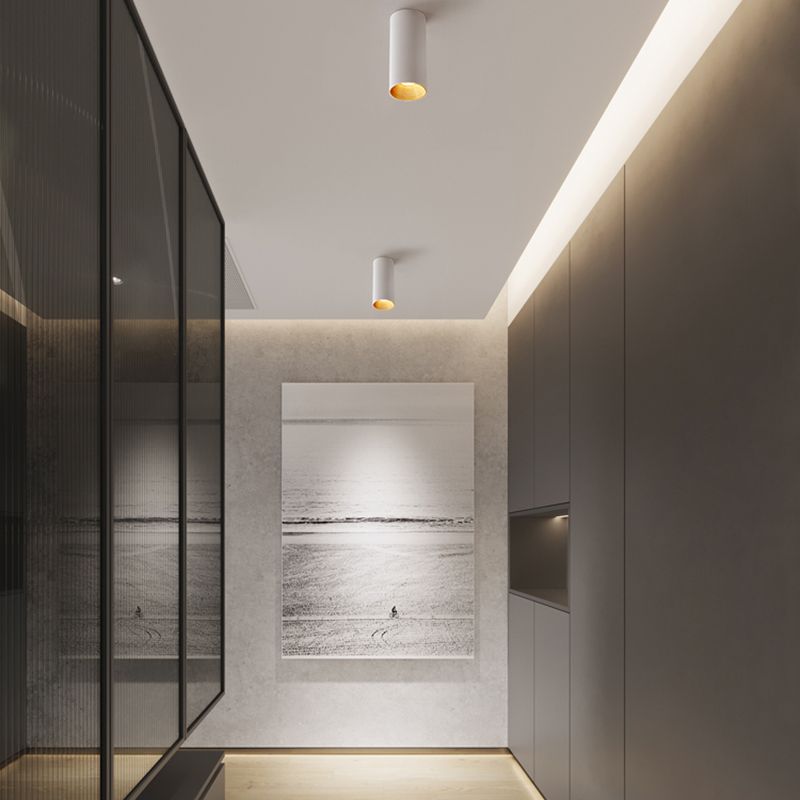 Lámpara montada en techo tubular interior dorada Luz LED nórdica de montaje empotrado de metal para pasillo