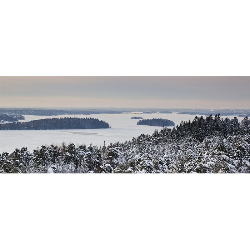 Grey-White Snow Forest Mural Wallpaper Stain Proof Modern Bedroom Wall Decoration