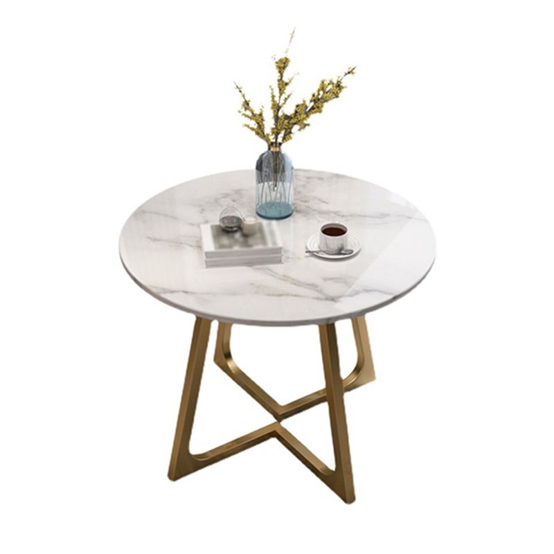 Round Stone Top Table Contemporary Style Steel Base Dining Table