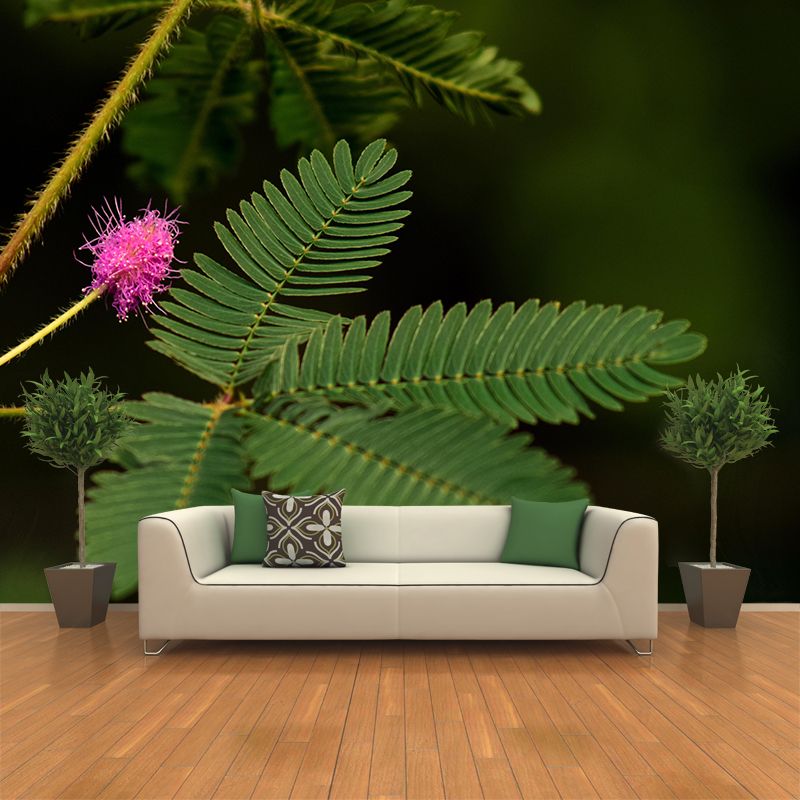 Customized Mimosa Plant Wall Mural Stain Resistant for Living Room Decor