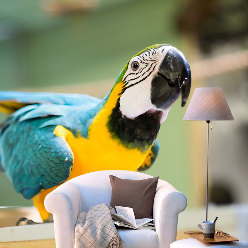 Tropical Animal Parrot Wall Mural Decal Indoor Room Decoration Wall Decor for Exhibition Hall