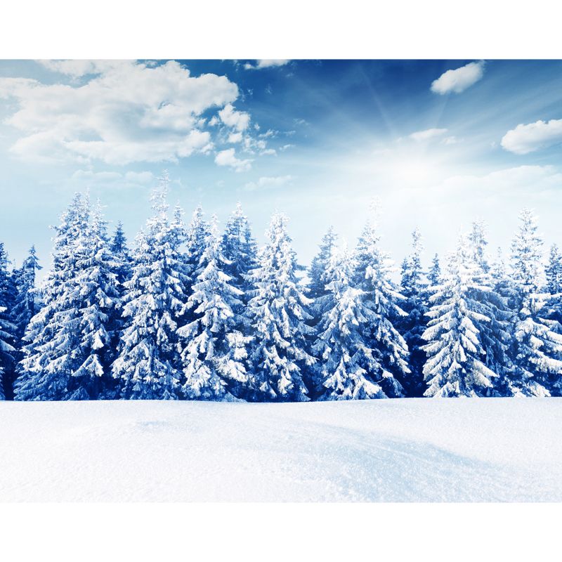 Blue Snowy Pine Trees Mural Decal Moisture Resistant Nordic Living Room Wall Art