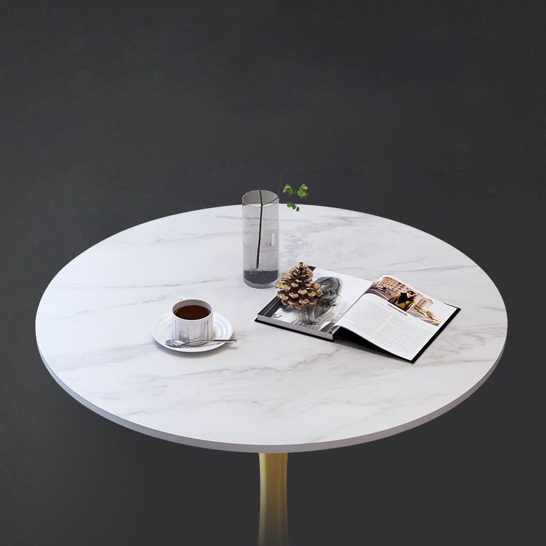 Traditional Luxury Dining Table Stone Dining Table with Metal Base