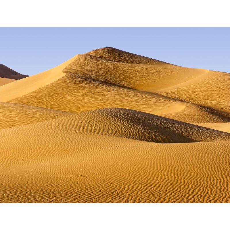 Yellow Dunes Wall Paper Mural Moisture Resistant Wall Covering for Accent Wall, Custom