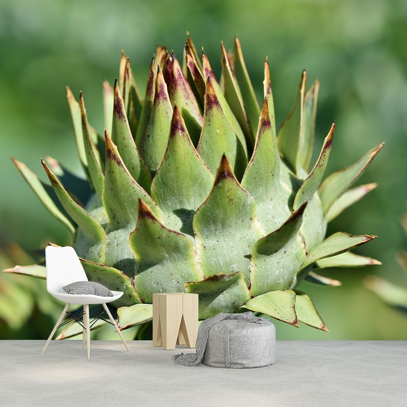 Artichoke Plant Removable Wall Mural for Reading Room, Water Resistant