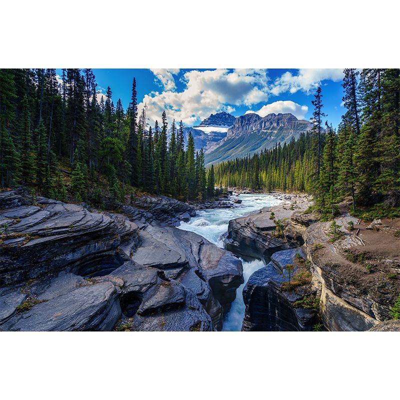 Landscapes Pattern Mildew Wall Mural Horizontalt Photography for Living Room