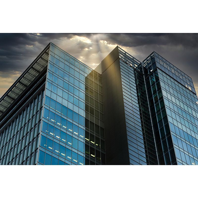 Customized Construction Mural Environmental Modern Living Room Decoration