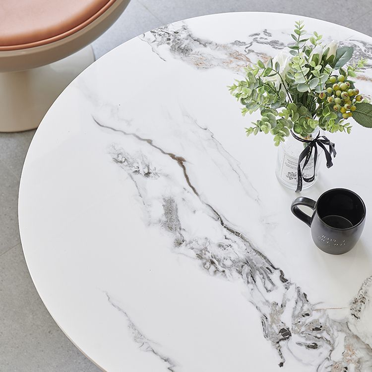 Modern 1/3/4/5 Pieces Sintered Stone Dining Set Dining Furniture Set /Separate Items