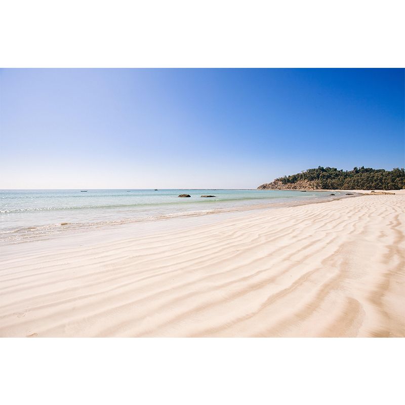 Sandy Beach Coast Wallpaper Mural Contemporary Wall Covering for Bathroom