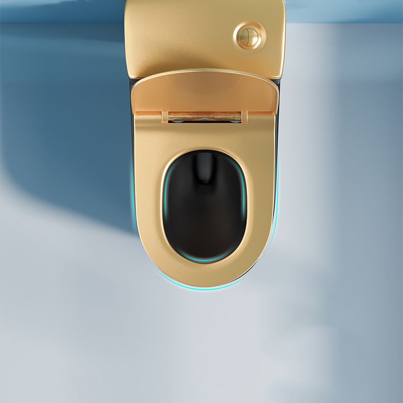 Traditional One Piece Toilet Floor Mounted Black Toilet Bowl with Seat for Washroom