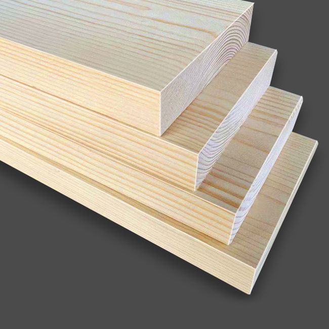 Contemporary Engineer Wood Bookshelf Closed Back Bookcase with Door for Home Office