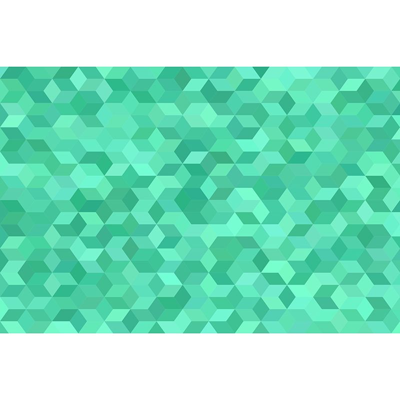 Geometric Pattern Illustration Wall Murals Modern Style for Living Room