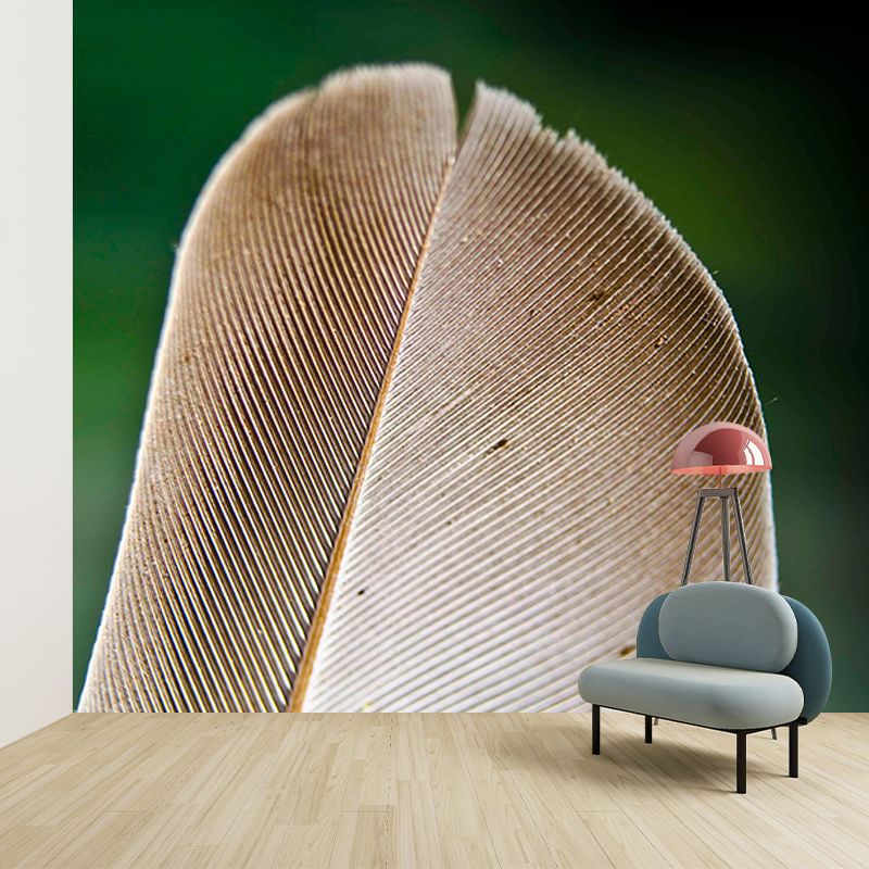Feather Wall Mural Modern Style Mildew Resistant for Home Decor