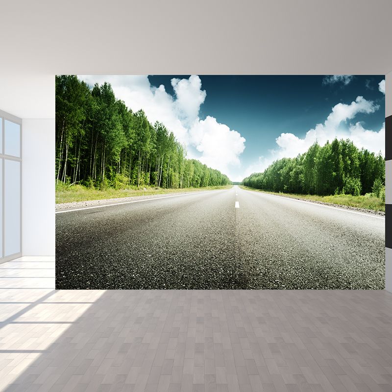 Highway Scene Mural Wallpaper Modern Non-Woven Cloth Wall Covering in Soft Color