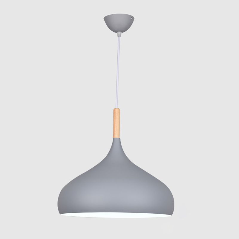 Kuppel Anhänger Beleuchtungsbestand