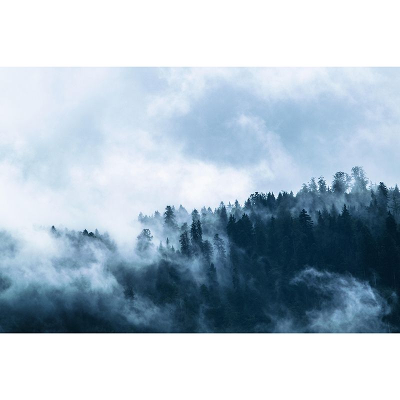 Environmental Wall Mural Photography Stain Resistant Living Room Forest Mural