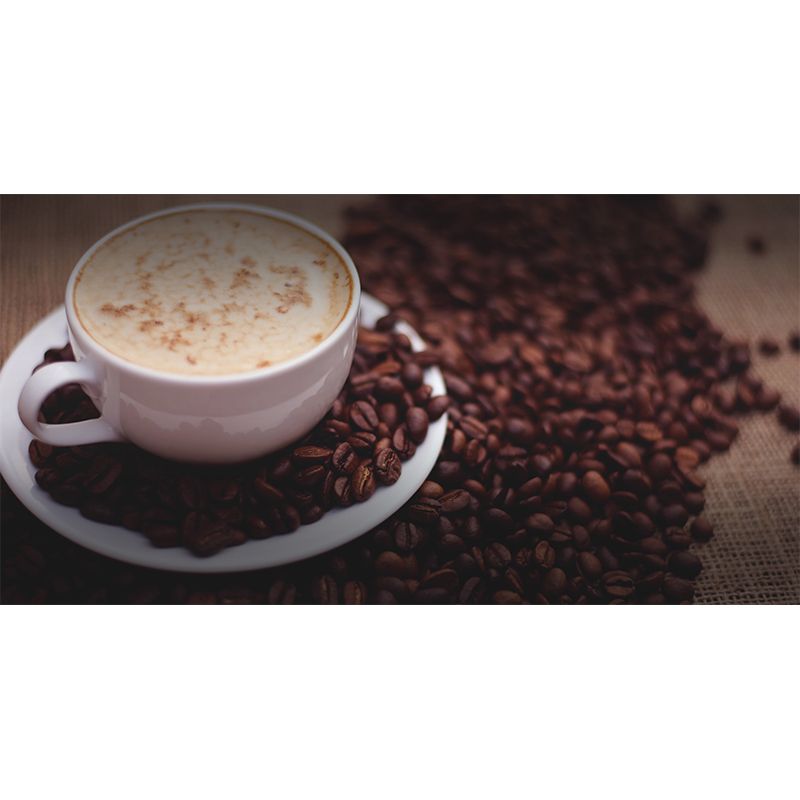 Mellow Coffee Modern Mural Stain Resistant Soft Color Wall Covering for Coffee Shop