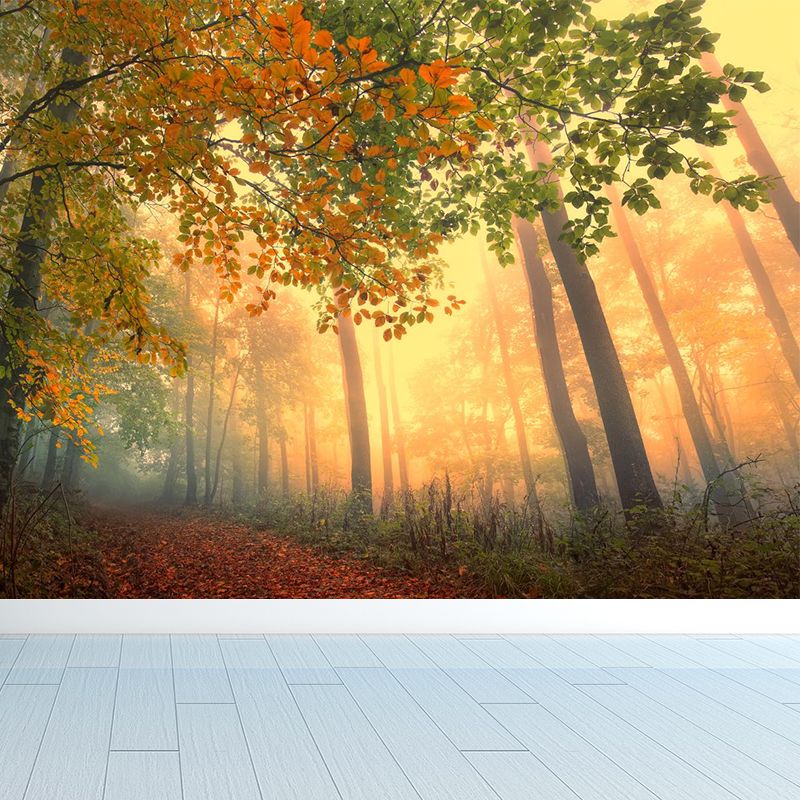 Misty Forest Landscape Wallpaper Mural Contemporary Smooth Wall Covering in Dark Color