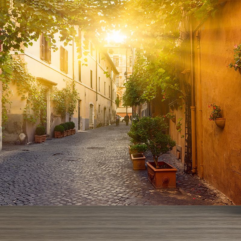 Stain Resistant Sunny Town Mural Non-Woven Texture Modern Wall Decor for Girls Room