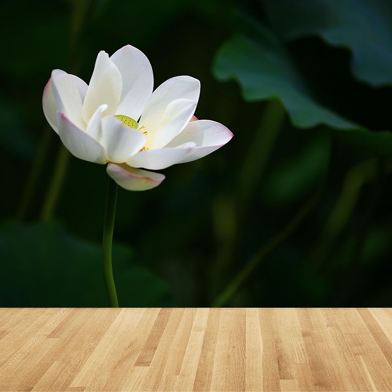Blooming Lotus Wall Decor for Bedroom Moisture Resistant in Soft Color