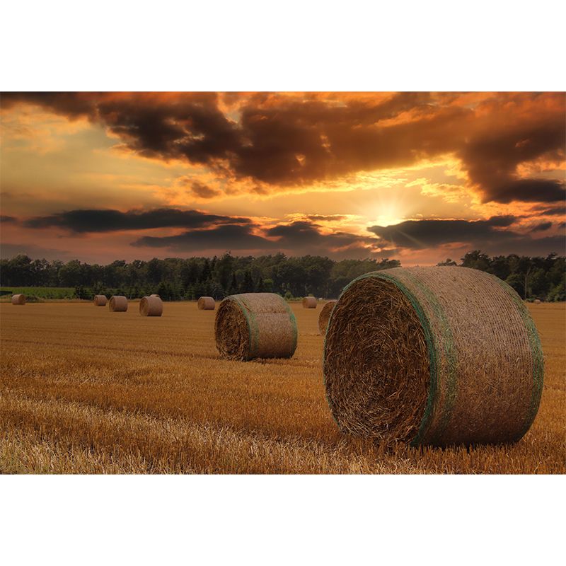 Customized Straw Bale Mural Photography Horizontal for Sleeping Room Bedroom