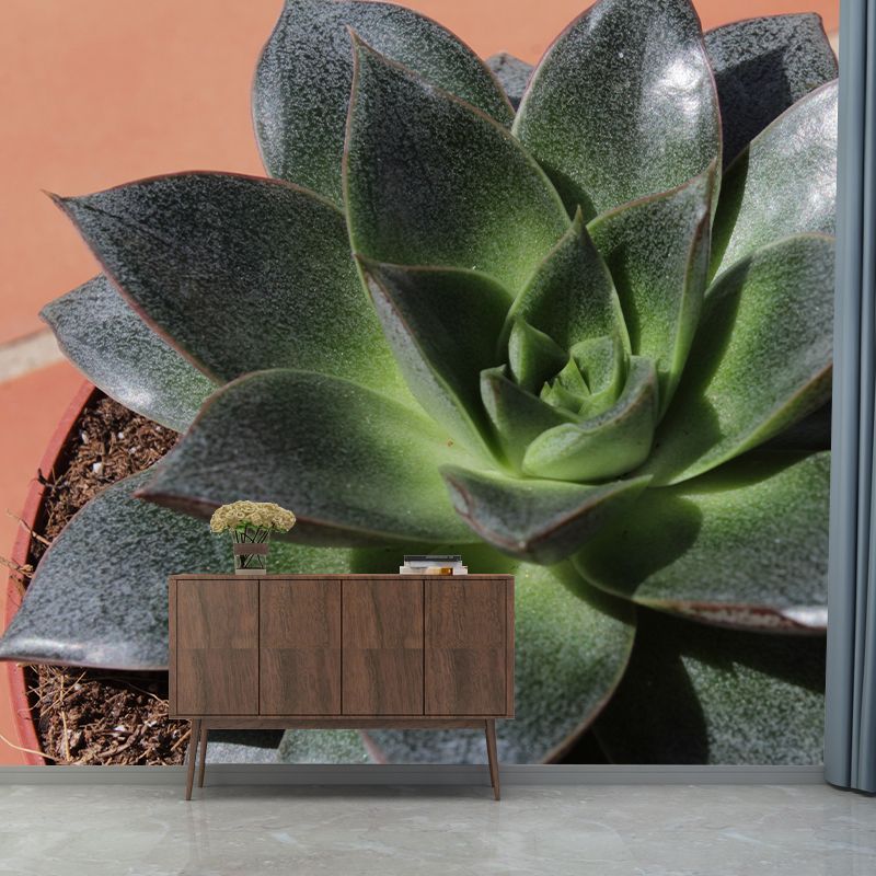 Plants Wall Decals Removable Wall Art Decor for Office Home Apartment, Moisture Resistant