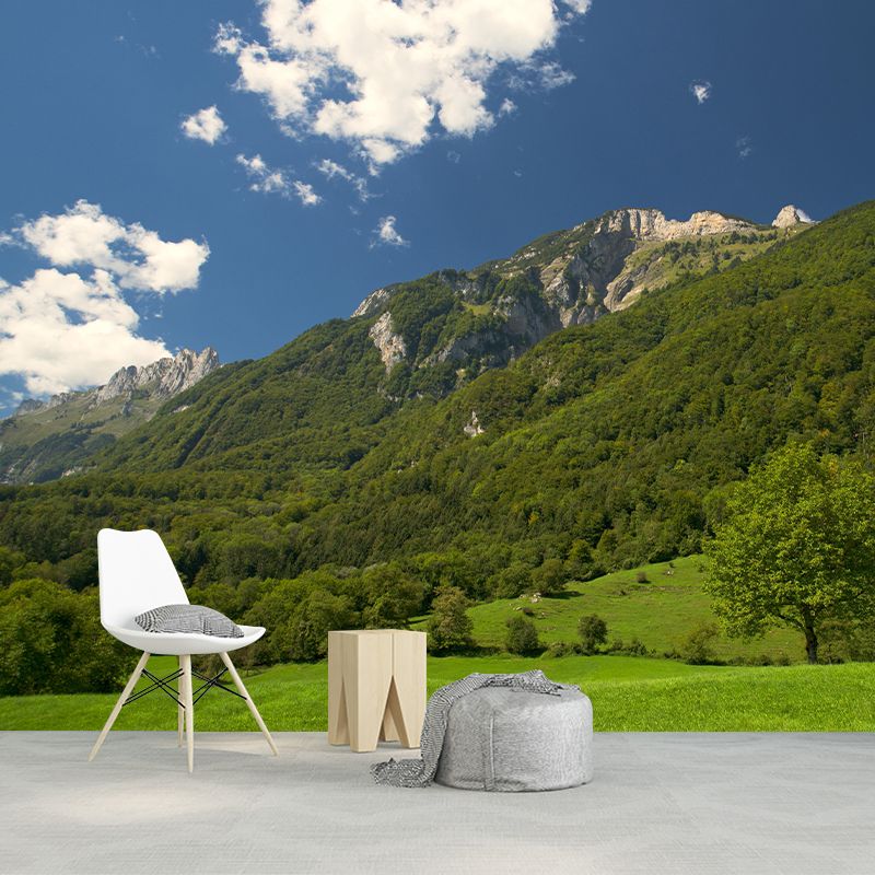 Mountain Scenery Wall Mural Modernism Style Wall Decoration for Study Room