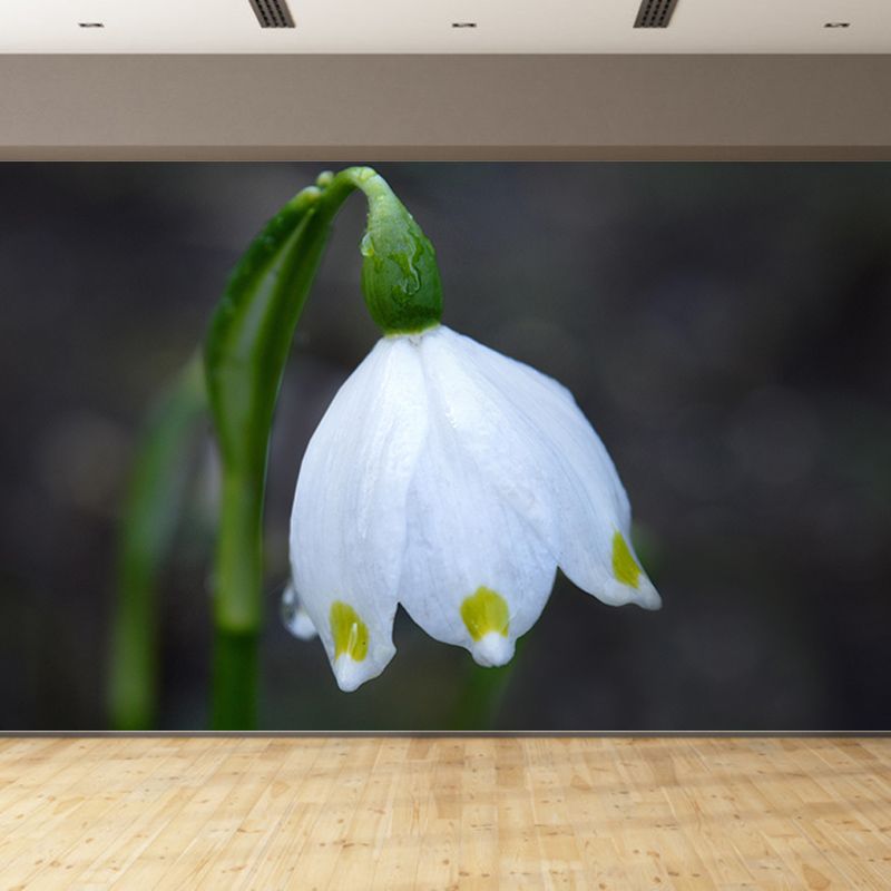 Contemporary Marzenbecher Flower Mural Soft Color Stain Resistant Wall Art