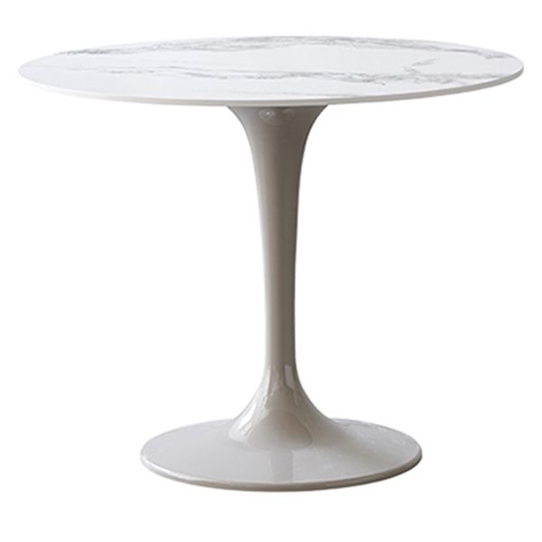 Modern 1/2/3/4/5 Pieces Dining Set Round Sintered Stone Dining Table Set