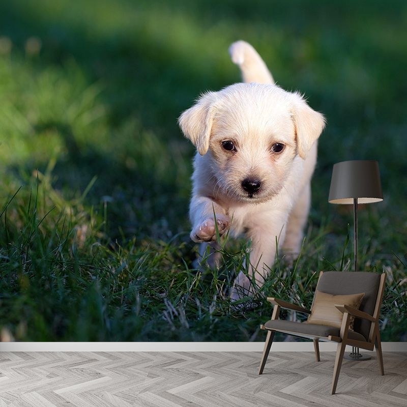Horizontal Photography Puppy Mural Stain Resistant Wall Art for Living Room