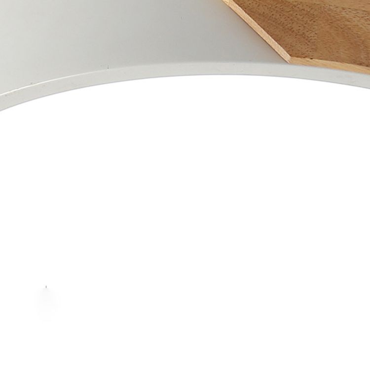 Child Bedroom Flush Mount One-Light Acrylic Metal Nordic LED Ceiling Lamp