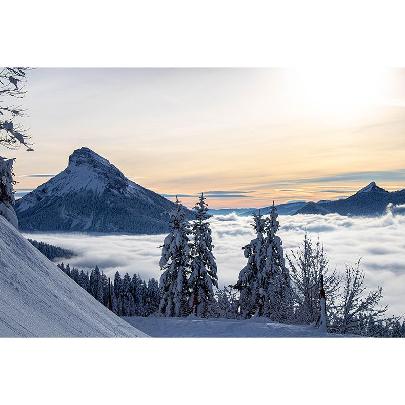 Photography Mountain Mural Moisture Resistant Wall Covering for Living Room