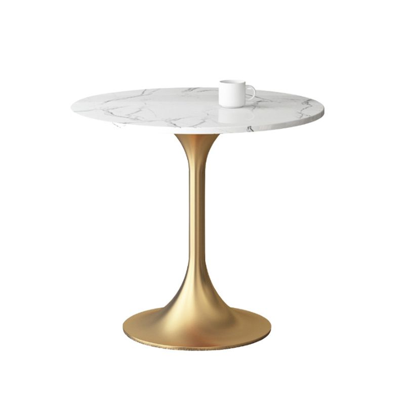 1/3/4/5 Pcs Glam Style Dining Room Set with Round Table and Metal Base Dining Set