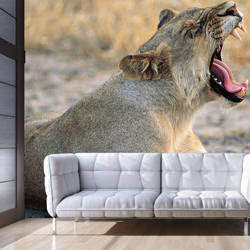 Brown Wild Animal Wallpaper Mural Lion Giving A Big Yawn Modern Washable Wall Decor