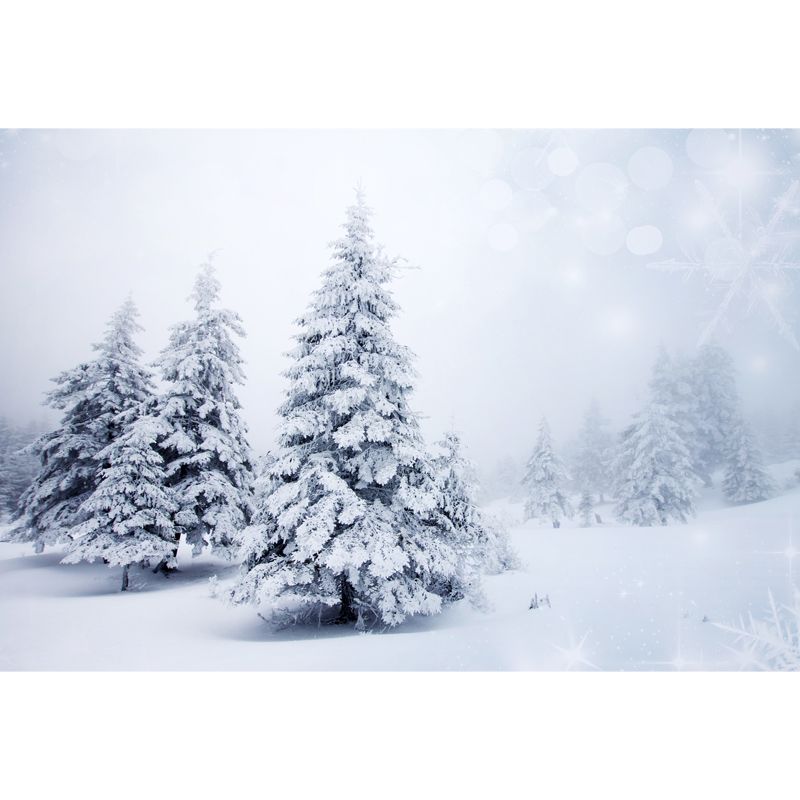 Whole Foggy Winter Landscape Mural Modern Stunning Snowy Cypress Wall Decor in White