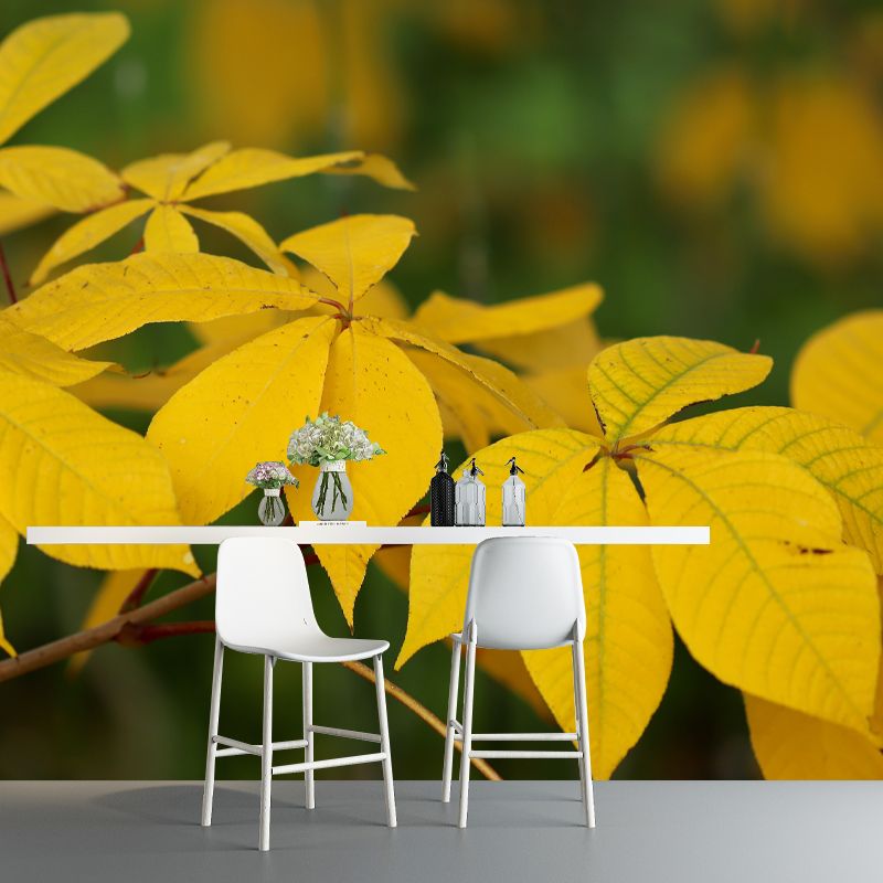 Autumn Leaves Murals Customized Stain Resistant Wall Decoration for Home