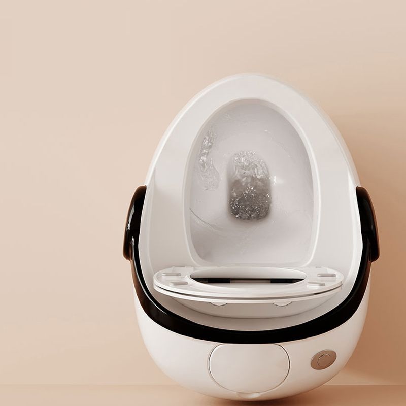 Contemporary Floor Mount Flush Toilet Seat Included Toilet Bowl for Washroom