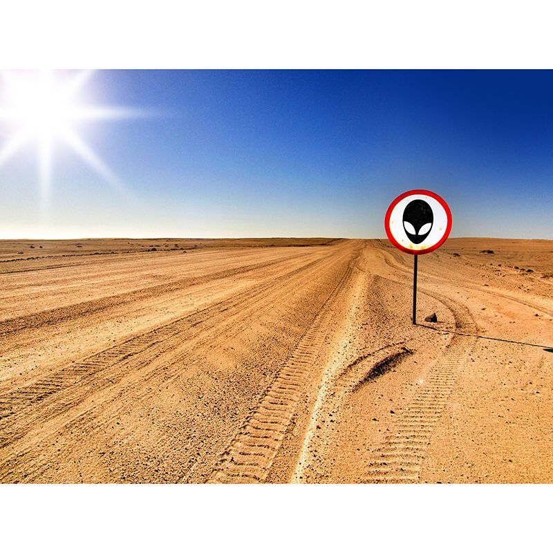 Contemporary Mildew Resistant Mural Photography Landscapes Wall Murals for Home