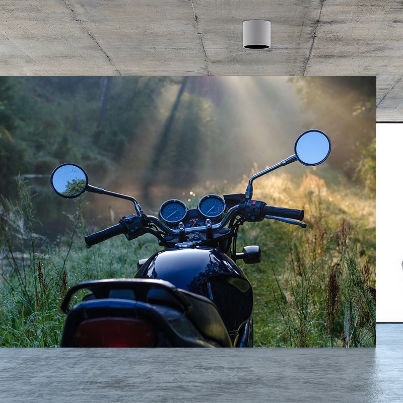 Photography Horizontal Mural Decal Decorative Wall Covering for Accent Wall