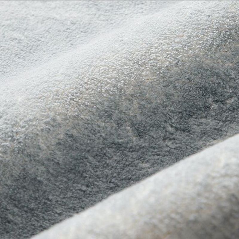 Contemporary Polyester Carpet Washable Indoor Rug Stain Resistant Area Carpet for Living Room