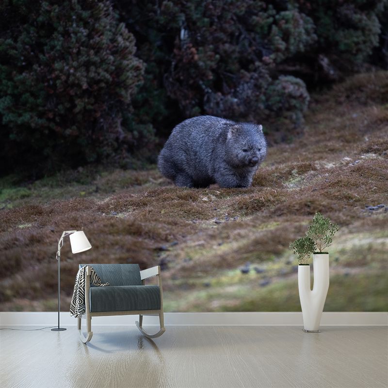 Customized Koala Wall Mural Horizontal Photography for Sleeping Room Decoration